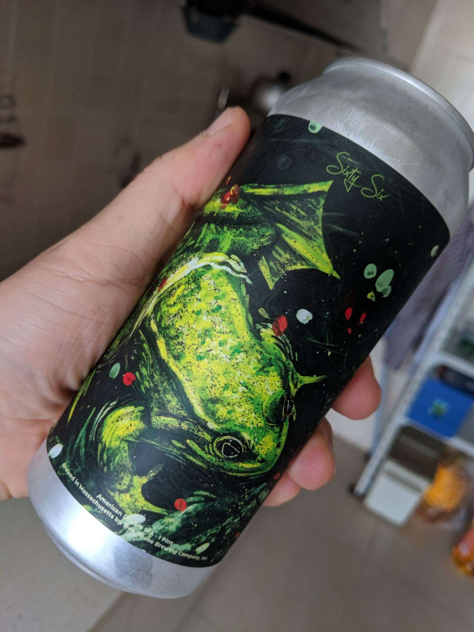 Tree House Curiosity 66 (Sixty Six) 20190804 144120